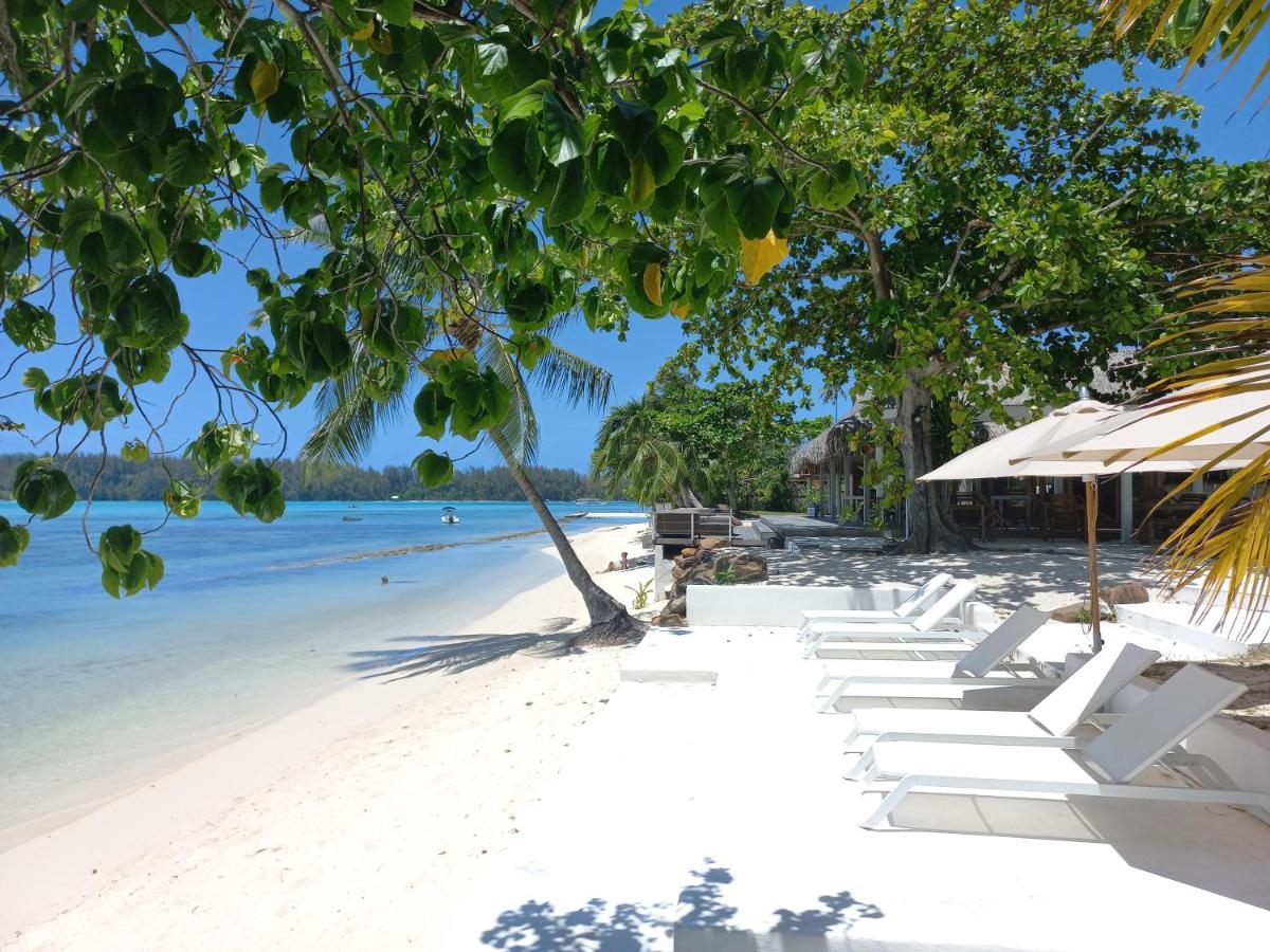 Moorea Island Beach Hotel Exteriör bild