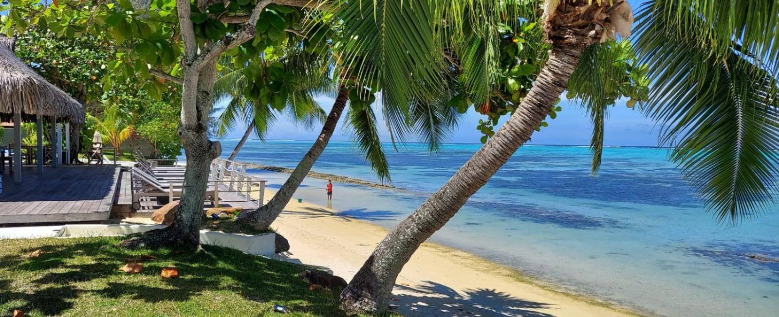 Moorea Island Beach Hotel Exteriör bild
