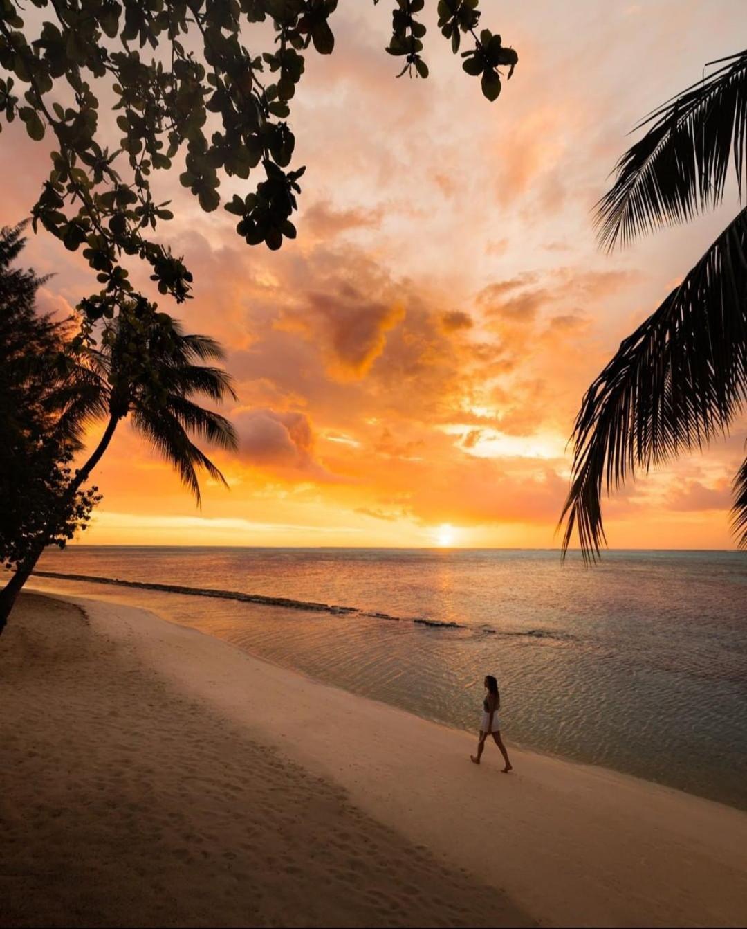 Moorea Island Beach Hotel Exteriör bild